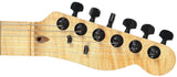 All Music Inc USA Private Collection #11 Flamed Thinline Tele Electric Guitar