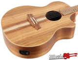 Cole Clark Angel AN2EC-BLBL Blackwood Acoustic Electric Guitar CCAN2ECBLBL