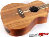 Cole Clark SAN1EC-BLBL Blackwood Acoustic Electric Guitar