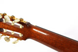 Kazuo Ichiyanagi No.30 Braz Rosewood Classical Acoustic Guitar