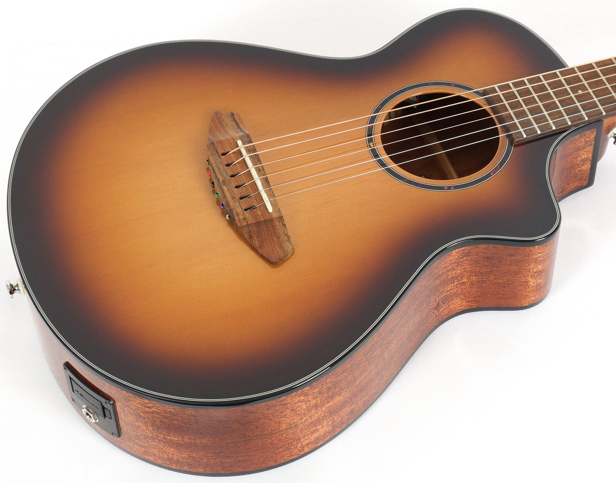 Breedlove discovery companion ce deals