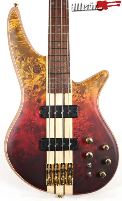 Electric Bass Guitars