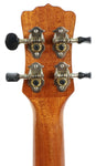 Luna Vista Stallion Tropical Woods Concert Ukulele Uke Acoustic Electric Guitar