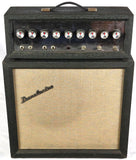 Danelectro DM-25 Electric Guitar Tube Amplifier