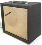 Danelectro DM-25 Electric Guitar Tube Amplifier