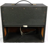 Danelectro DM-25 Electric Guitar Tube Amplifier