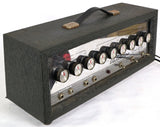 Danelectro DM-25 Electric Guitar Tube Amplifier