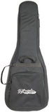 D'Angelico DAPGC20MNS Premier Riverside Acoustic Electric Guitar