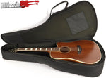 D'Angelico DAPGC20MNS Premier Riverside Acoustic Electric Guitar