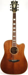 D'Angelico DAPGC20MNS Premier Riverside Acoustic Electric Guitar