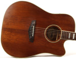 D'Angelico DAPGC20MNS Premier Riverside Acoustic Electric Guitar