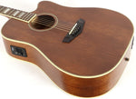 D'Angelico DAPGC20MNS Premier Riverside Acoustic Electric Guitar