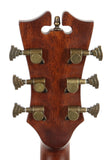 D'Angelico DAPGC20MNS Premier Riverside Acoustic Electric Guitar