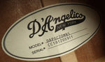 D'Angelico DAPGC20MNS Premier Riverside Acoustic Electric Guitar