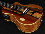 Luna Vista Stallion Tropical Woods Concert Ukulele