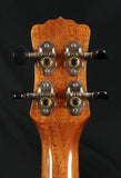 Luna Vista Stallion Tropical Woods Concert Ukulele
