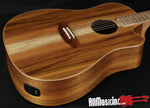 Cole Clark FL2EC-BLBL Blackwood Acoustic Electric Guitar
