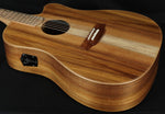 Cole Clark FL2EC-BLBL Blackwood Acoustic Electric Guitar