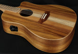 Cole Clark FL2EC-BLBL Blackwood Acoustic Electric Guitar