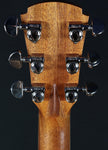 Cole Clark SAN1EC-BLBL Blackwood Acoustic Electric Guitar