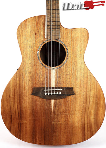 Cole Clark SAN1EC-BLBL Blackwood Acoustic Electric Guitar
