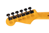 Fender Limited Edition American Professional II Stratocaster Electric Guitar