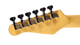 Godin Passion RG-3 Electric Guitar