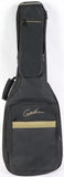 Godin Passion RG-3 Electric Guitar