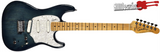Godin Passion RG-3 Electric Guitar