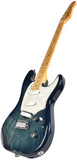 Godin Passion RG-3 Electric Guitar