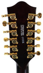 Gretsch G5422G-12 Single Barrel Burst 12-String Electric Guitar