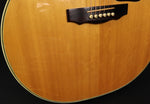 Guild F-50 Acoustic Guitar