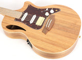 Cole Clark TL2EC-BLBL-HSS Acoustic Electric Guitar