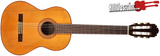 Manuel Rodriguez Model A Classical Guitar