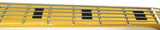 Michael Kelly Element Vintage Sunburst 5-String Zebra Proto Electric Bass Guitar