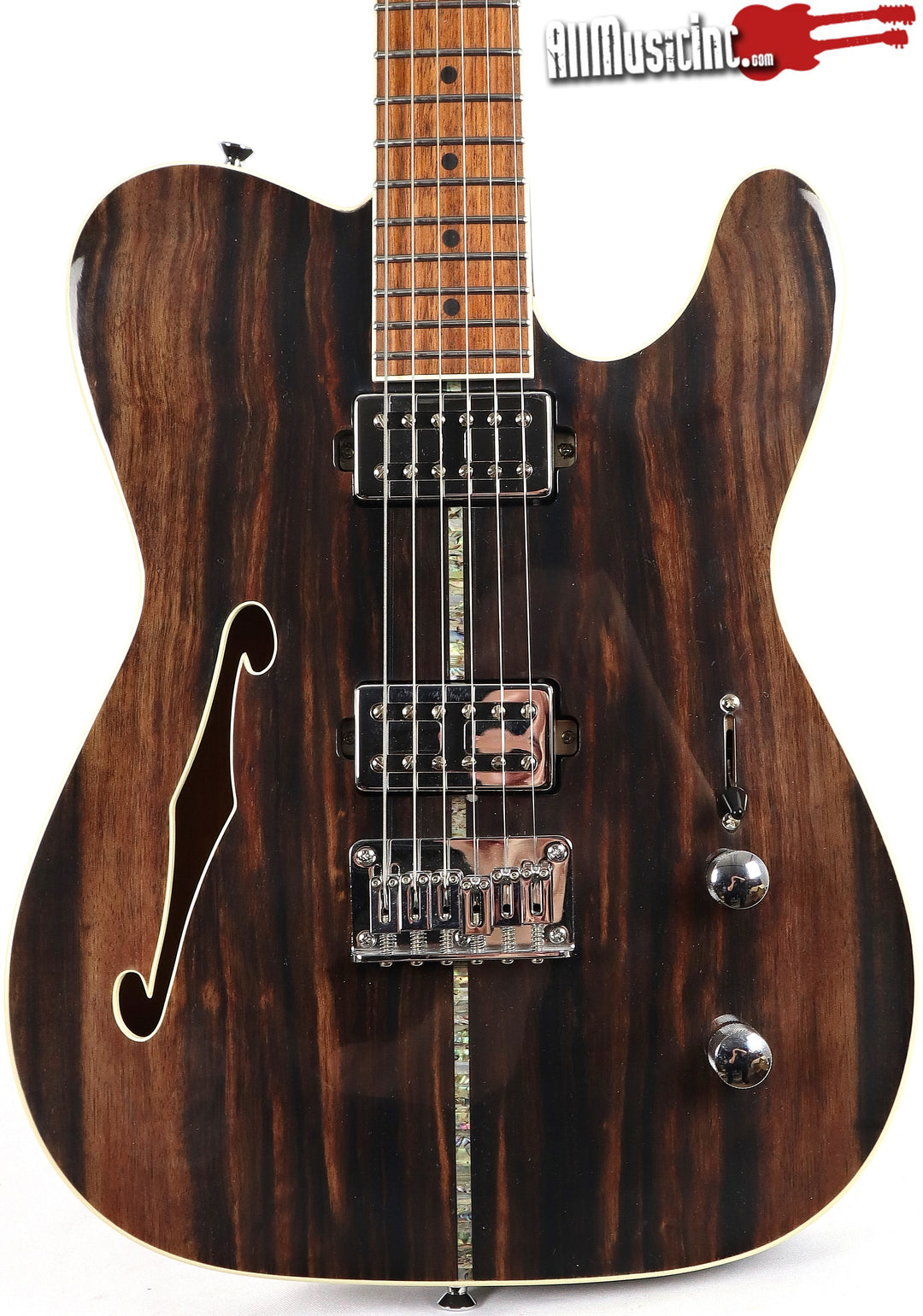 ほぼ抜け殻】Michael Kelly Guitars BJW