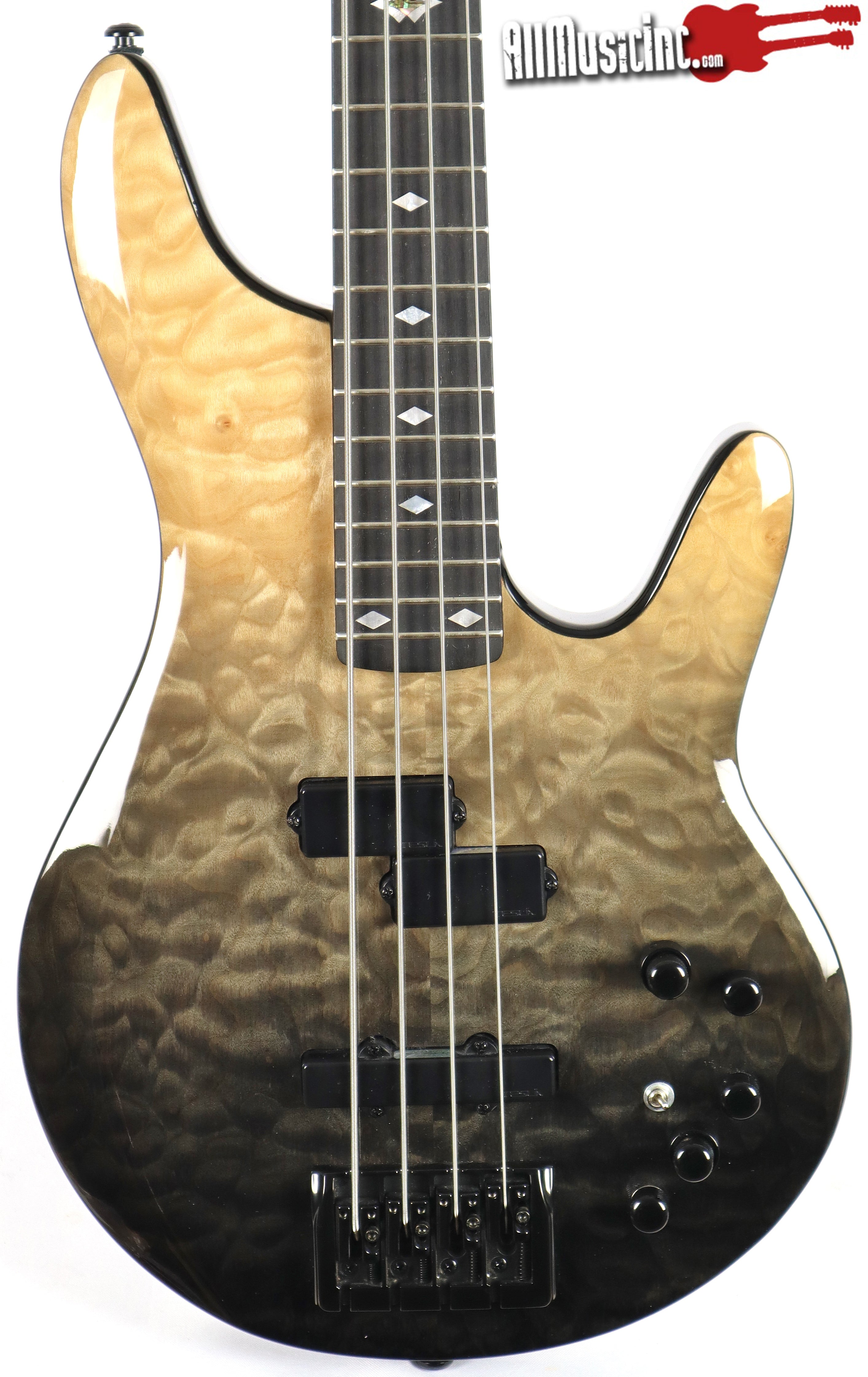 Michael Kelly Bass Guitars – All Music Inc.