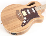 Cole Clark TL2EC-BLBL-HSS Acoustic Electric Guitar