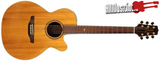 Takamine ESG-45SC Acoustic Electric Guitar