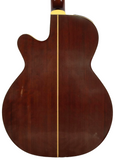 Takamine ESG-45SC Acoustic Electric Guitar