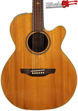Takamine ESG-45SC Acoustic Electric Guitar