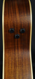Vintage VE-880PB Paul Brett Natural 12-String Acoustic Electric Guitar