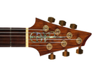 Warrior Dran Michael Signature MIDI Electric Guitar