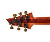 Warrior Dran Michael Signature MIDI Electric Guitar