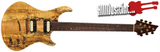 Warrior Dran Michael Signature MIDI Electric Guitar