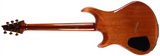 Warrior Dran Michael Signature MIDI Electric Guitar