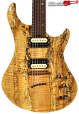 Warrior Dran Michael Signature MIDI Electric Guitar