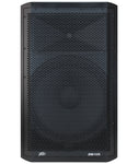 Peavey Dark Matter DM 115 Powered 1x15" 660 Watt Speaker Cabinet w/ DSP