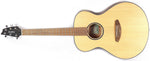 breedlove-discovery-s-concert-lefty-natural-guitar