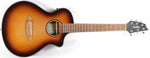 Breedlove Discovery Companion S CE Edgeburst Solid Top Acoustic Electric Guitar